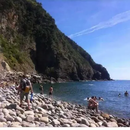 Il Quadrifoglio Konukevi