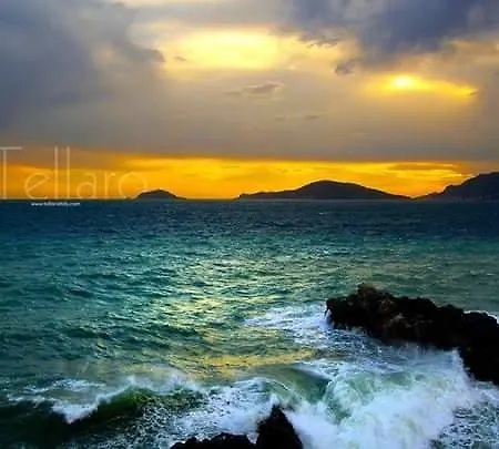 Pensión Il Quadrifoglio 4*