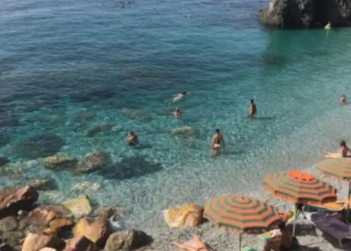 Il Quadrifoglio 4*